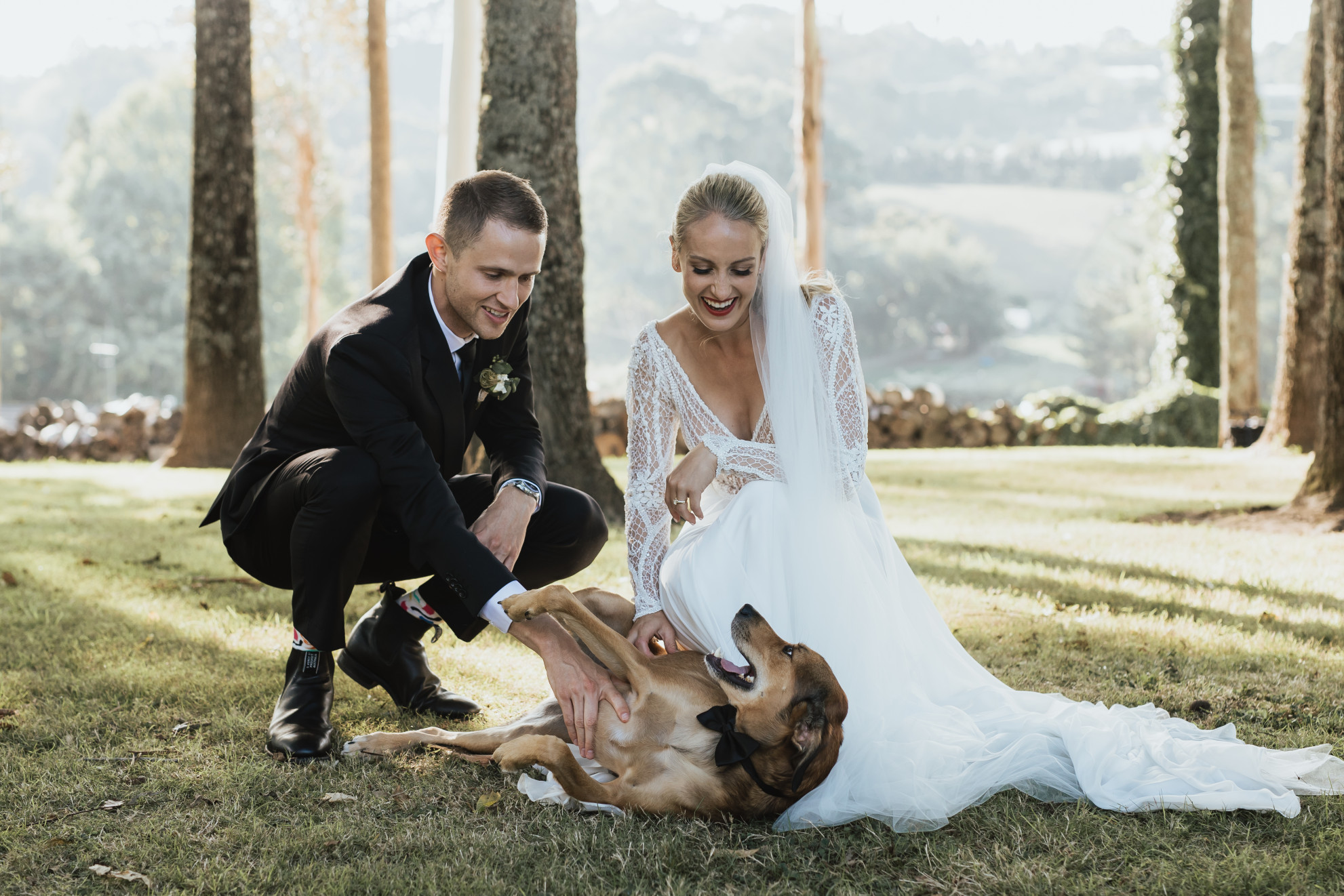 Blog | The Complete Guide to Dog-Friendly Weddings