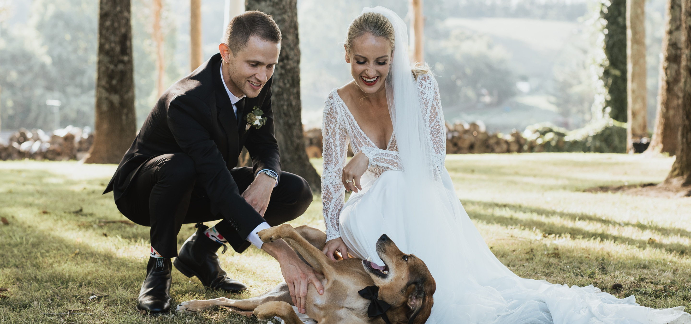 Blog | The Complete Guide to Dog-Friendly Weddings