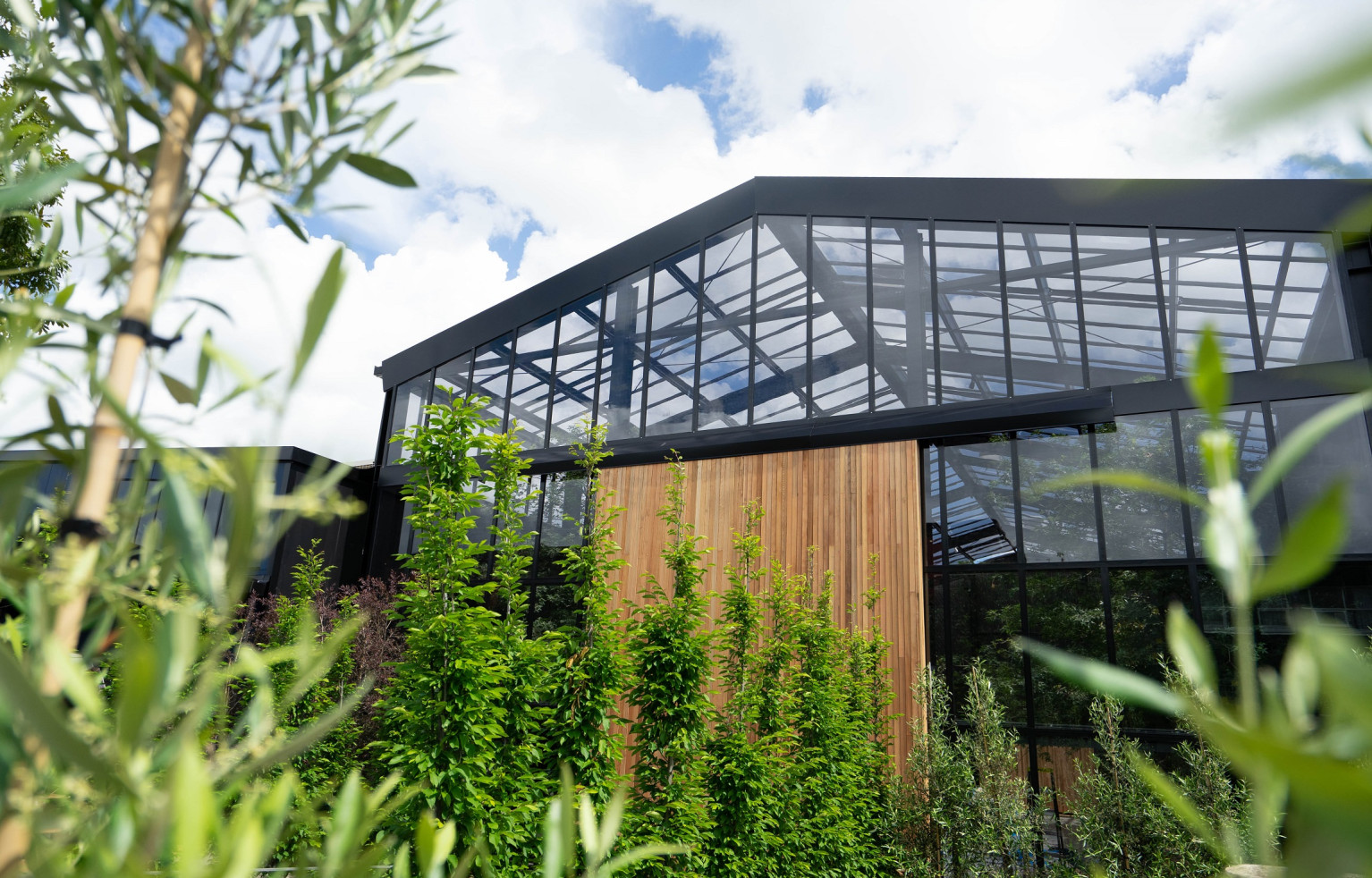 Exterior shot Glasshouse Morningside