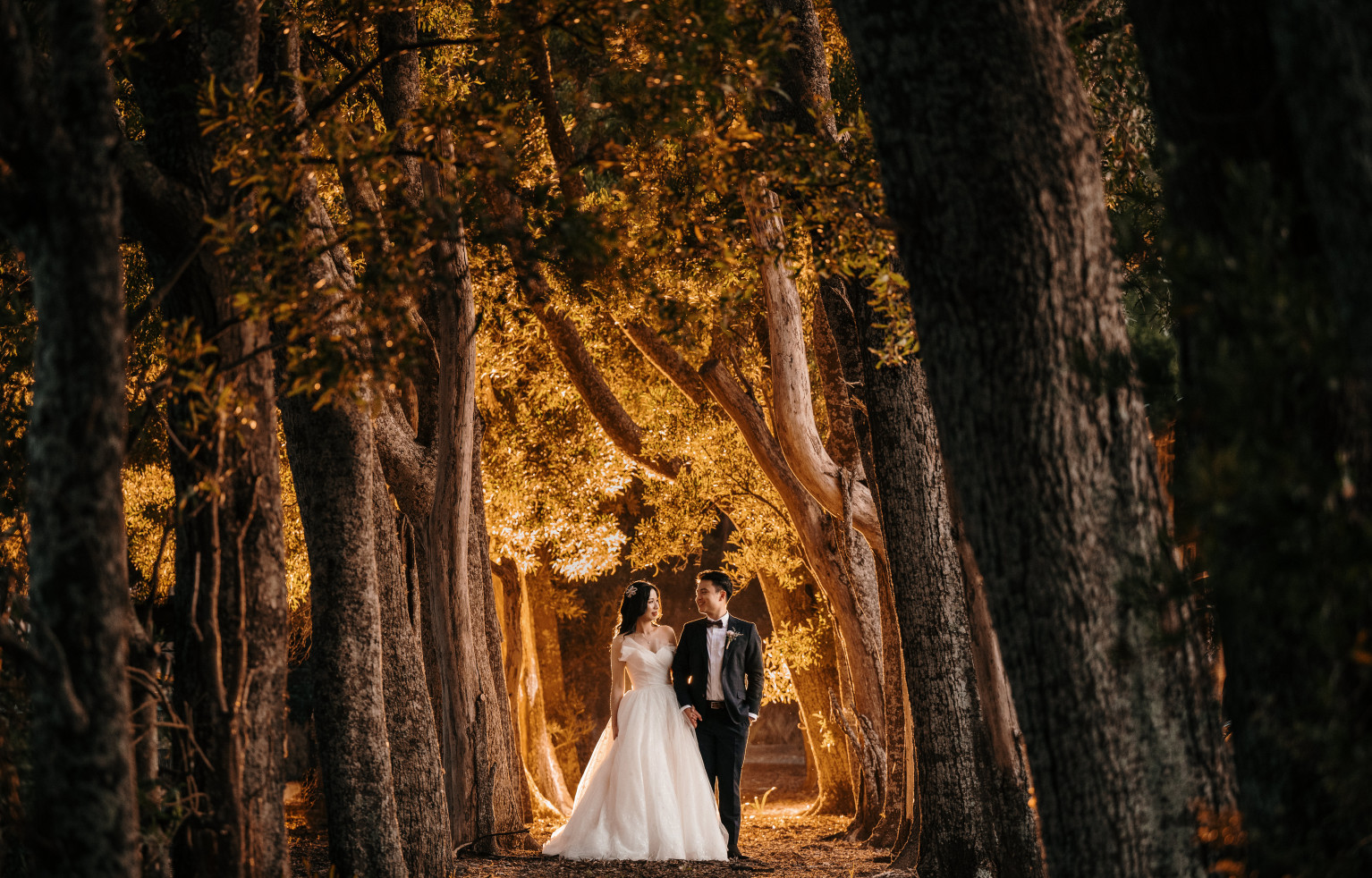 Bride and groom in the trees