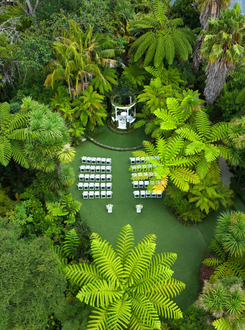 Native bush wedding setting